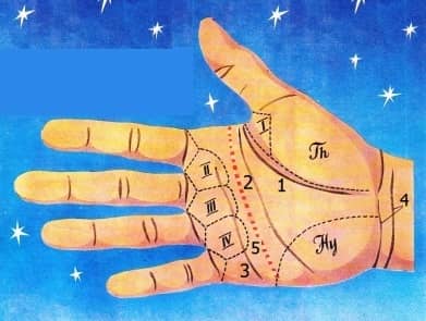 СПАННА Топографічна карта долоні