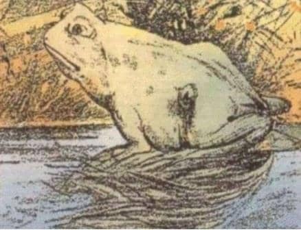 У кожного своя неправда